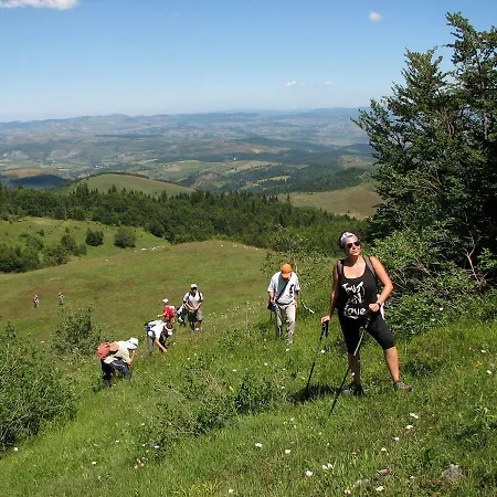 ,,bato,, アパート シェニツァ